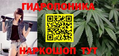 шишки Славянск-на-Кубани